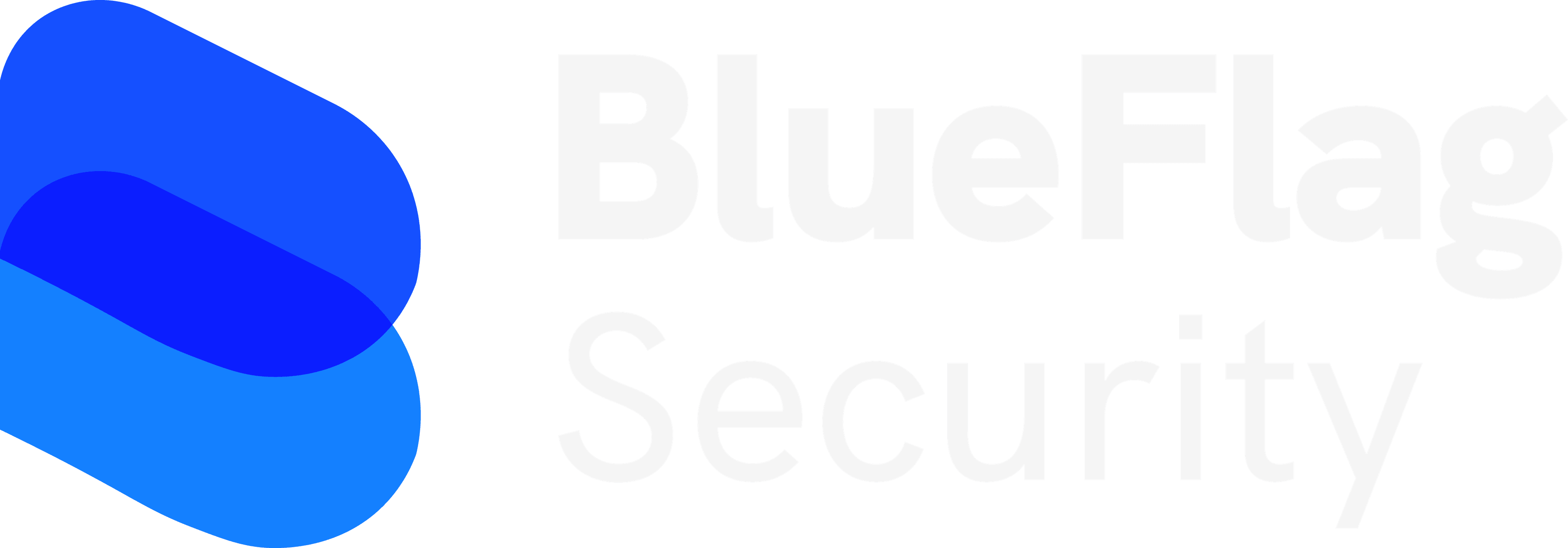 BlueFlag Security